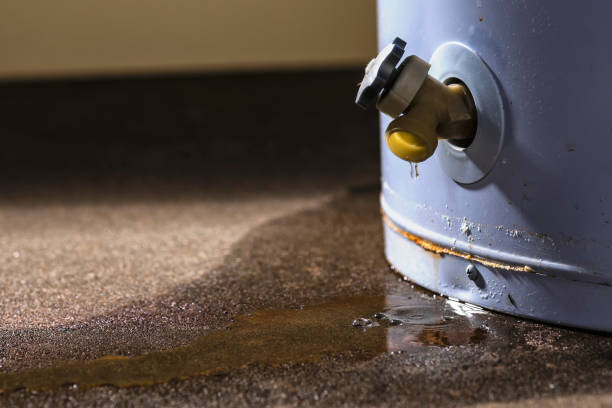 Best Sewage cleanup and water damage restoration  in Stuart, VA