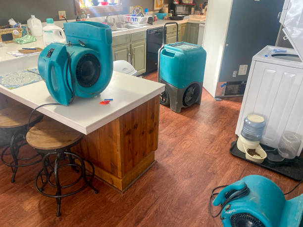 Best Sewage cleanup and water damage restoration  in Stuart, VA