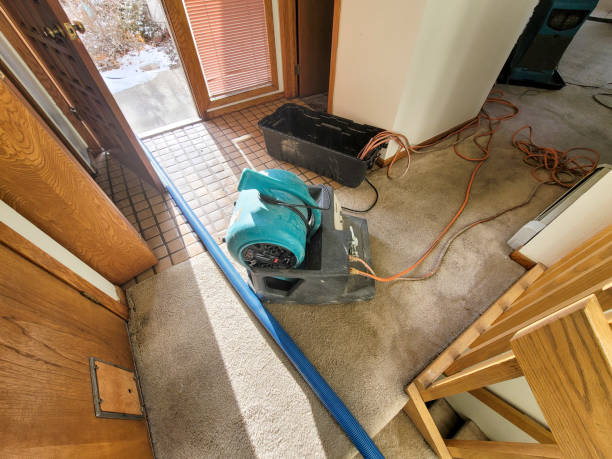 Best Flood restoration services  in Stuart, VA