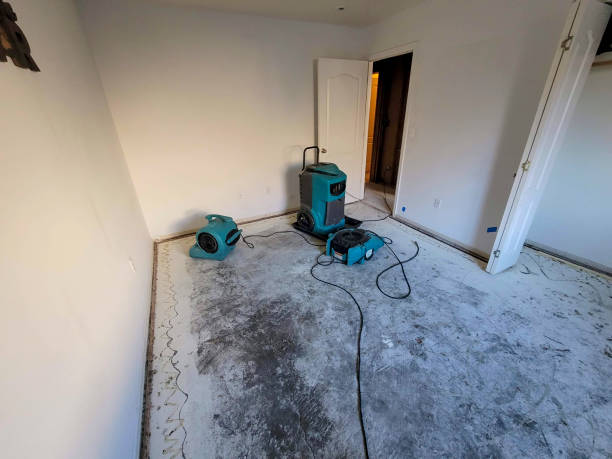 Best Commercial water damage restoration  in Stuart, VA