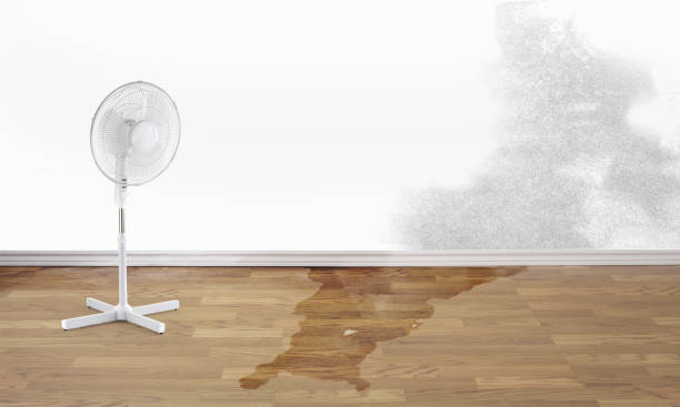 Water damage restoration mold remediation in VA