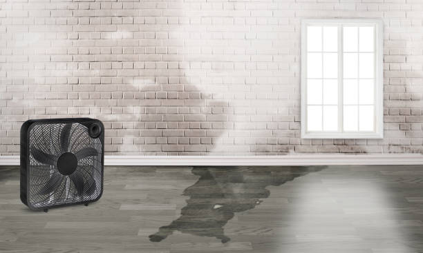 Best Water damage restoration mold remediation  in Stuart, VA