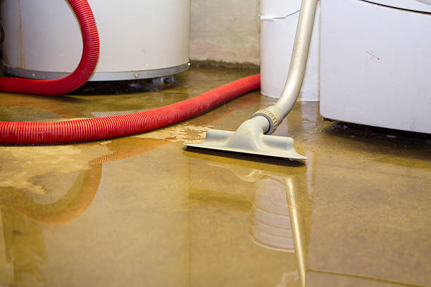 Best Ceiling water damage repair  in Stuart, VA