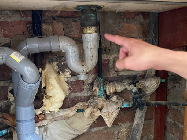 Best Water damage cleanup near me  in Stuart, VA